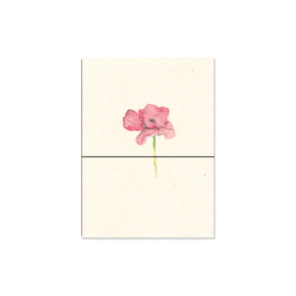 irish poppy. b6