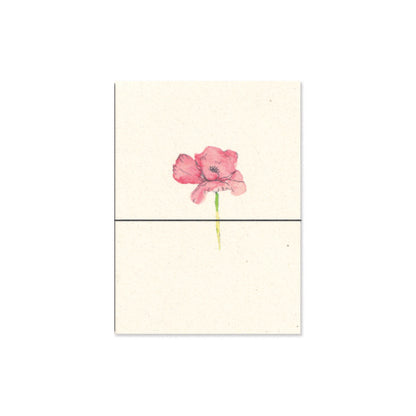 irish poppy. b6