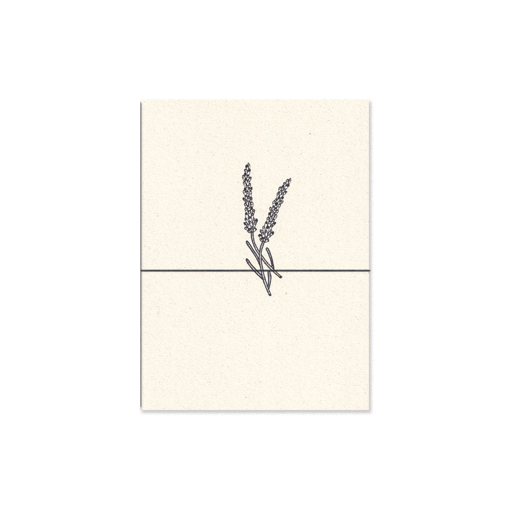 lavender. b6
