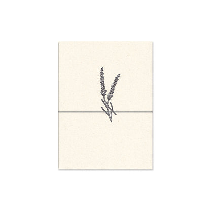 lavender. b6