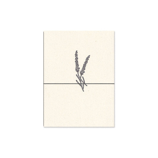 lavender. b6