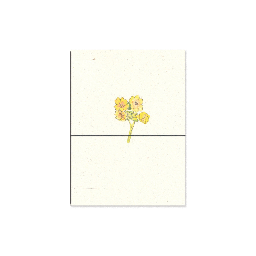 cowslip. b6