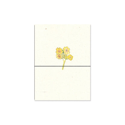cowslip. b6