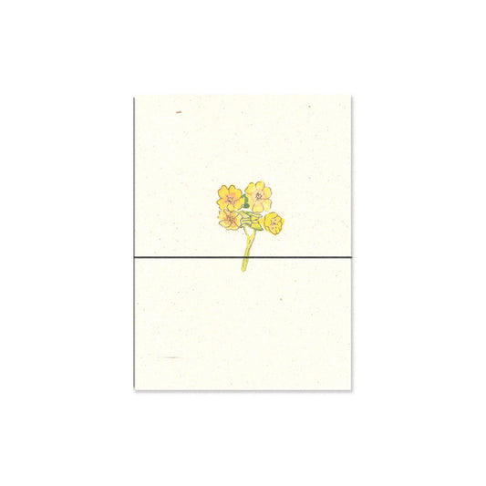 cowslip. b6