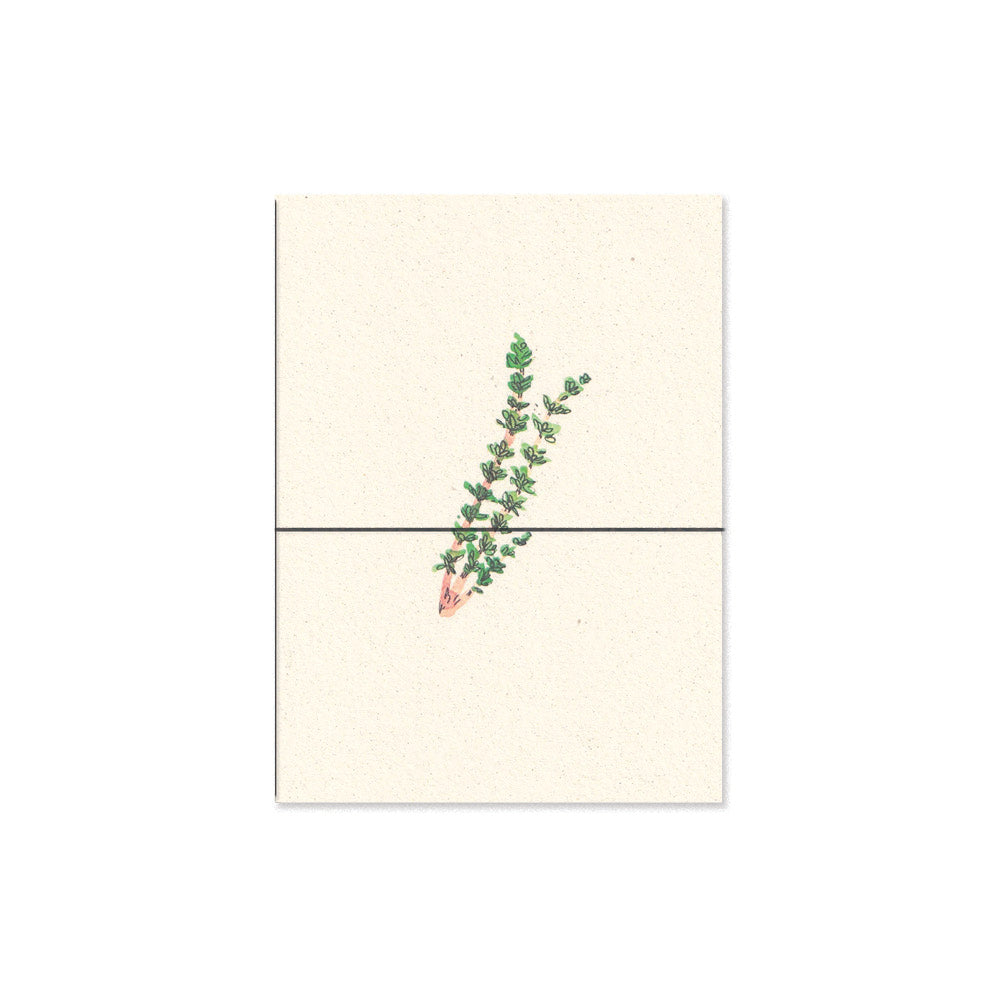 thyme. b6