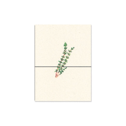 thyme. b6