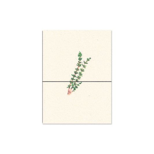 thyme. b6