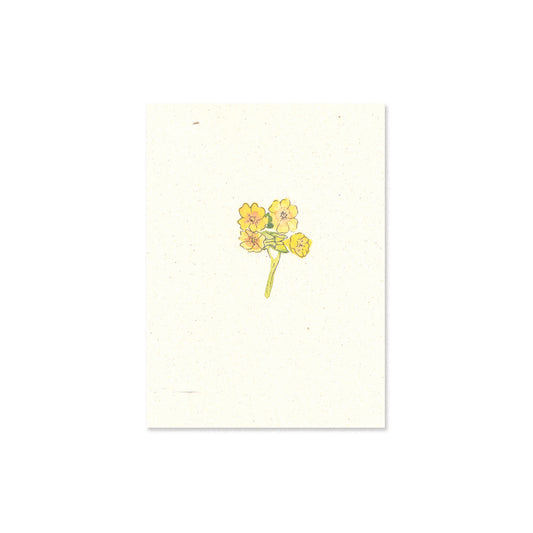 cowslip