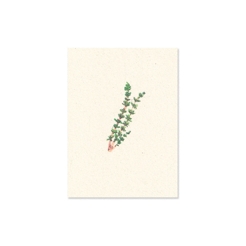 thyme card